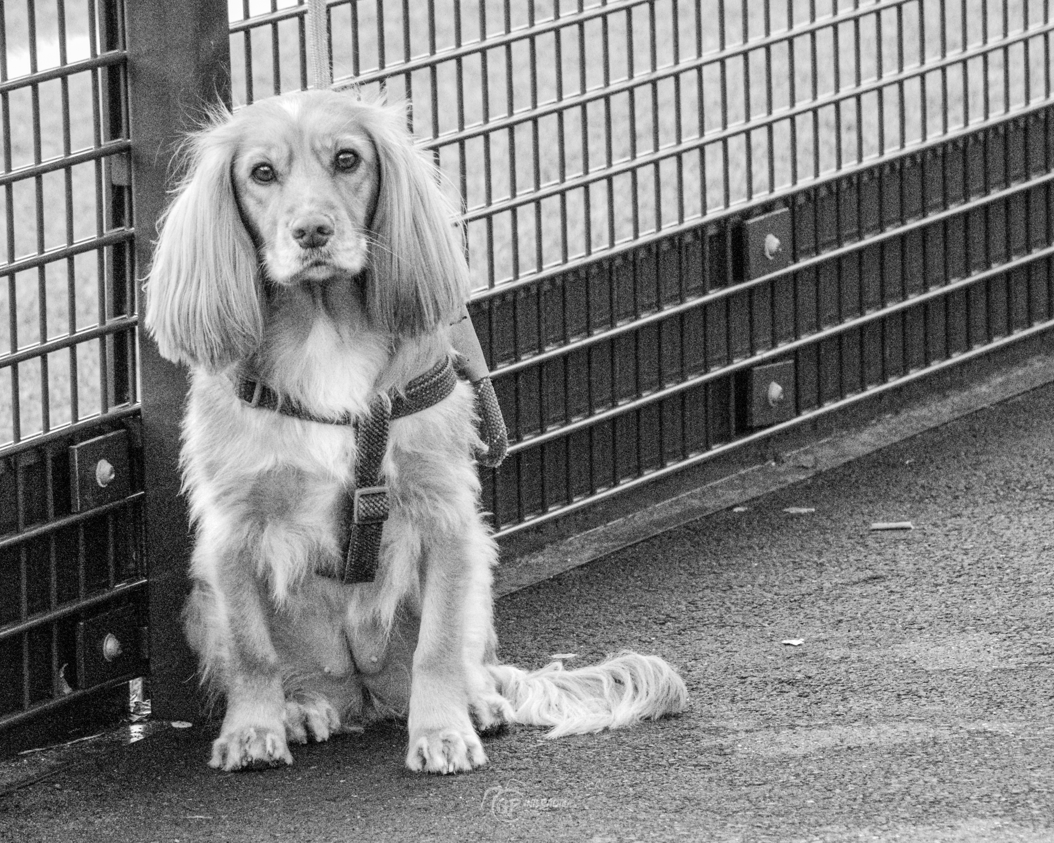 Baglan FC vs Banog FC