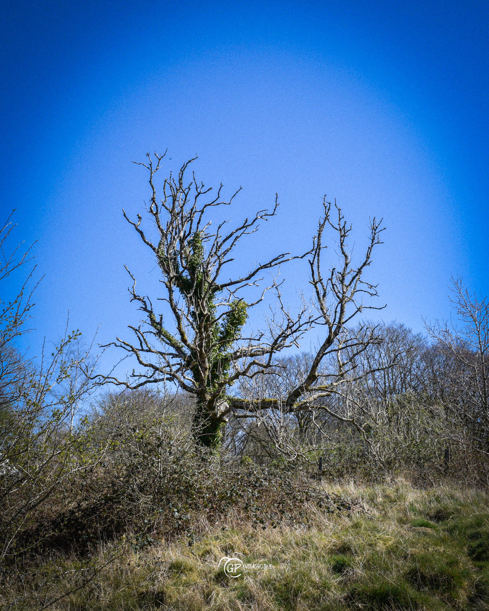 Pontneddfechan Falls