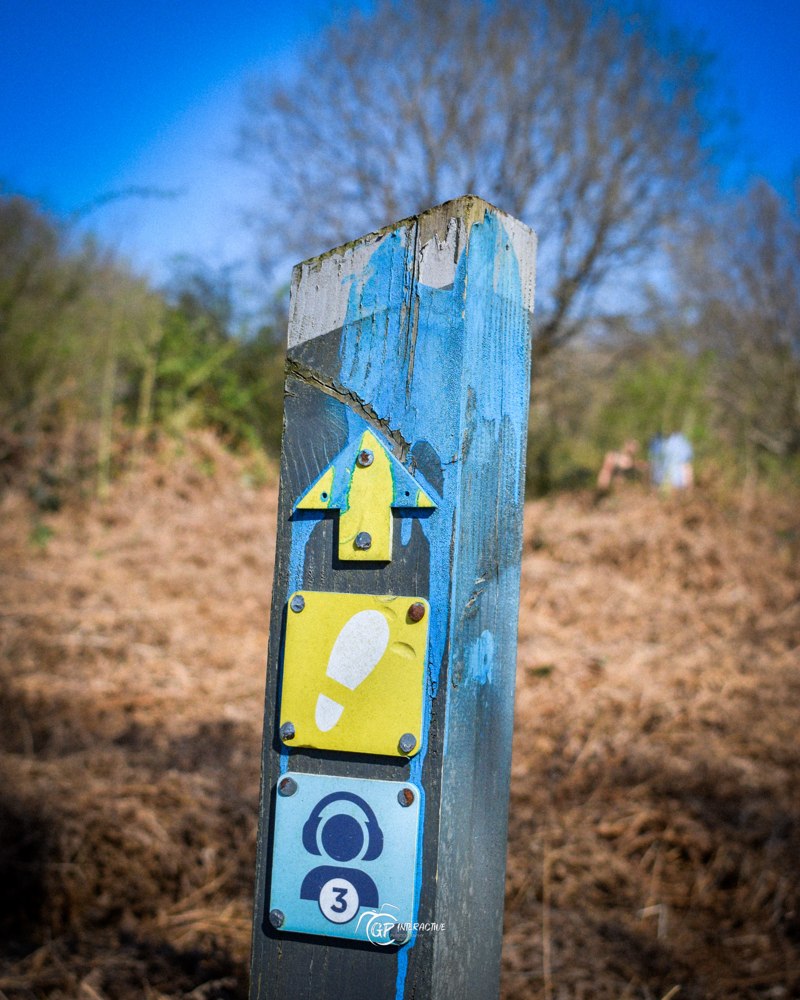 Pontneddfechan Falls