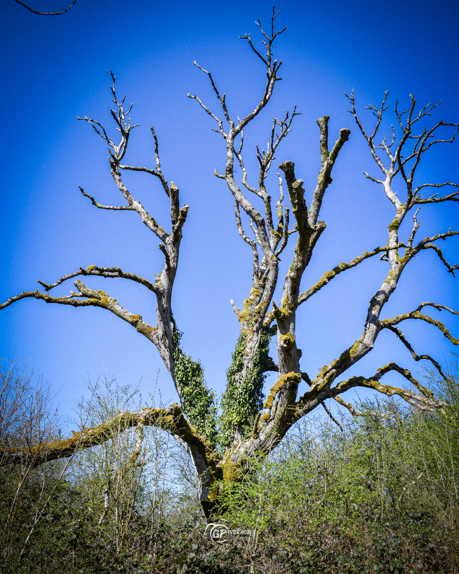 Pontneddfechan Falls