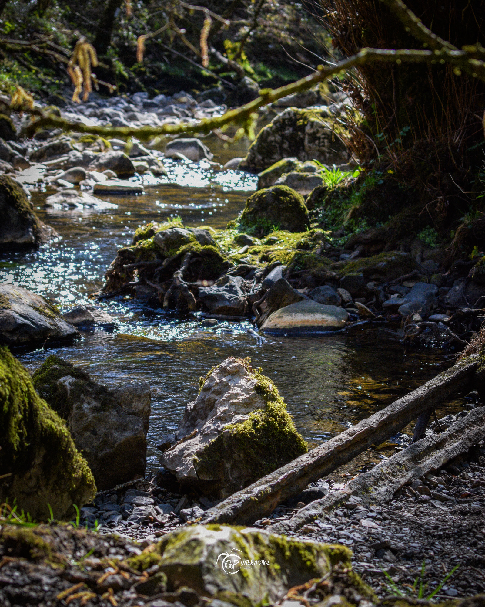 Pontneddfechan Falls
