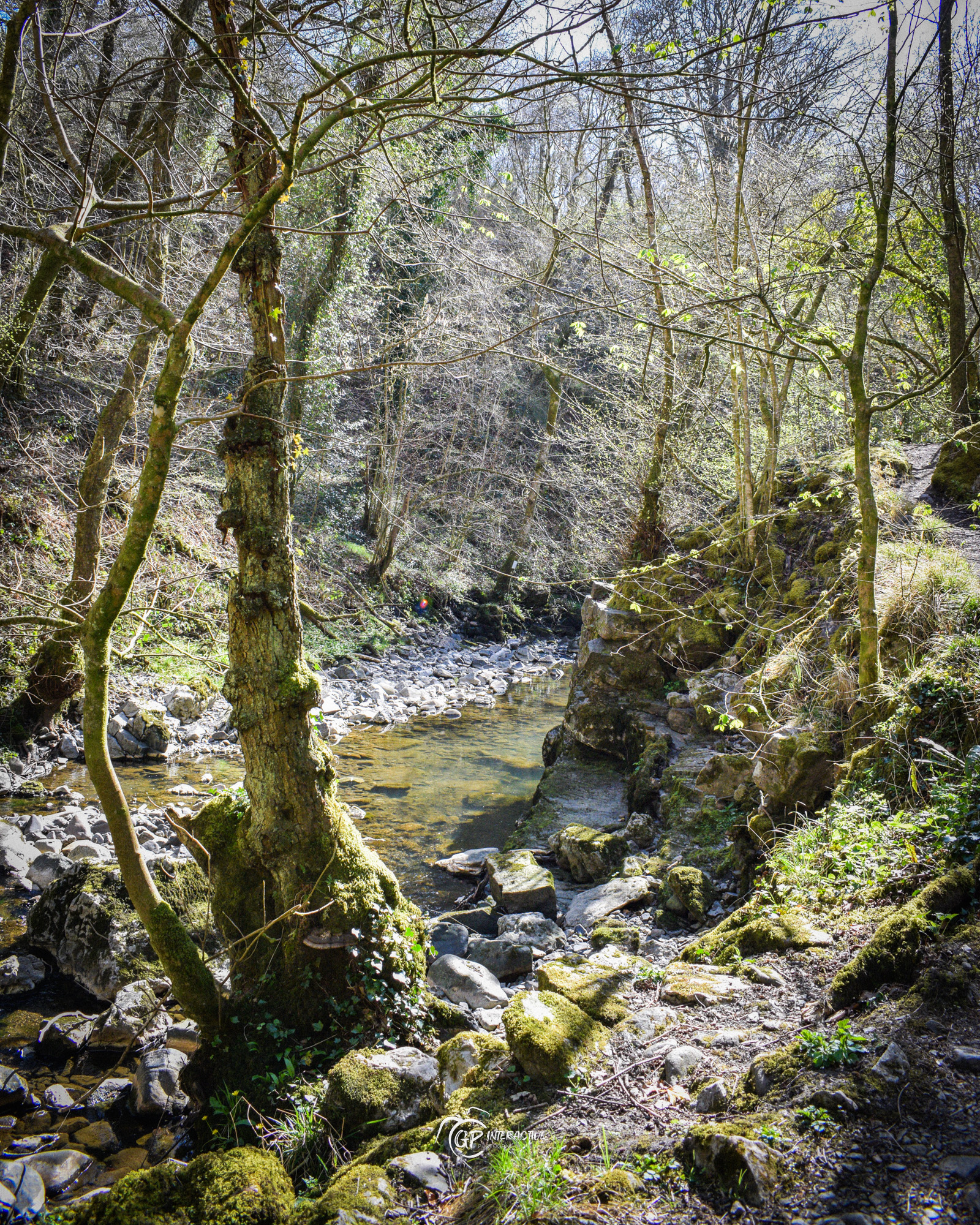 Pontneddfechan Falls