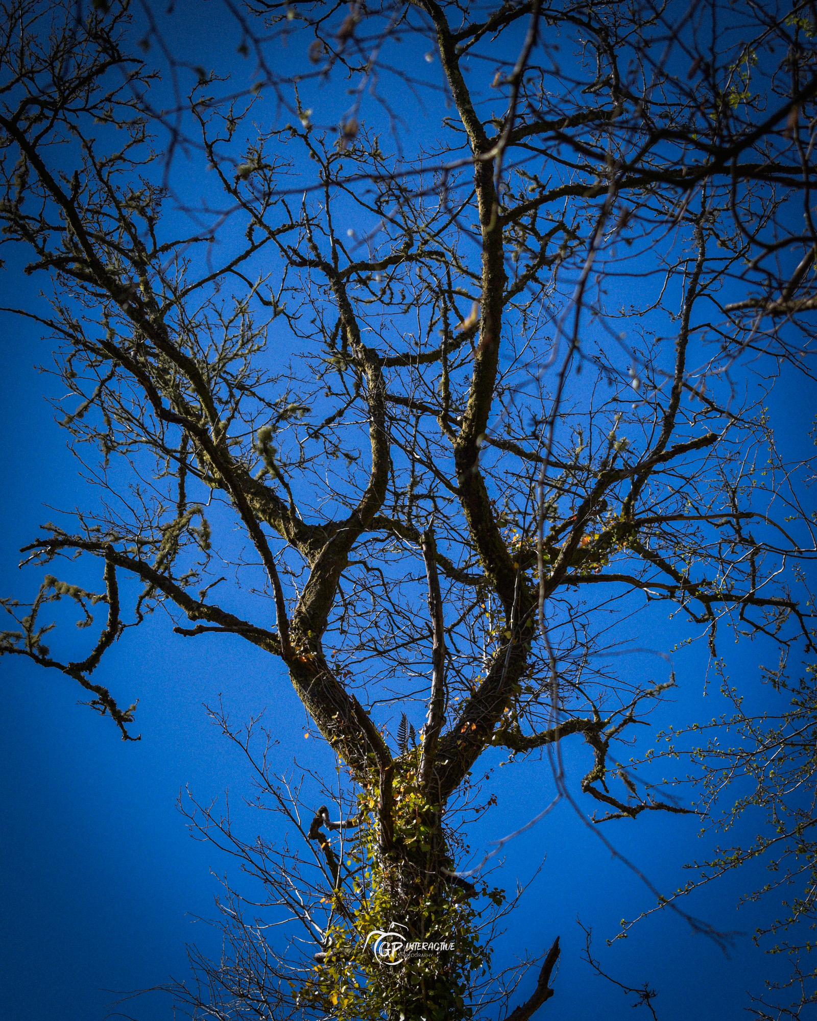 Pontneddfechan Falls