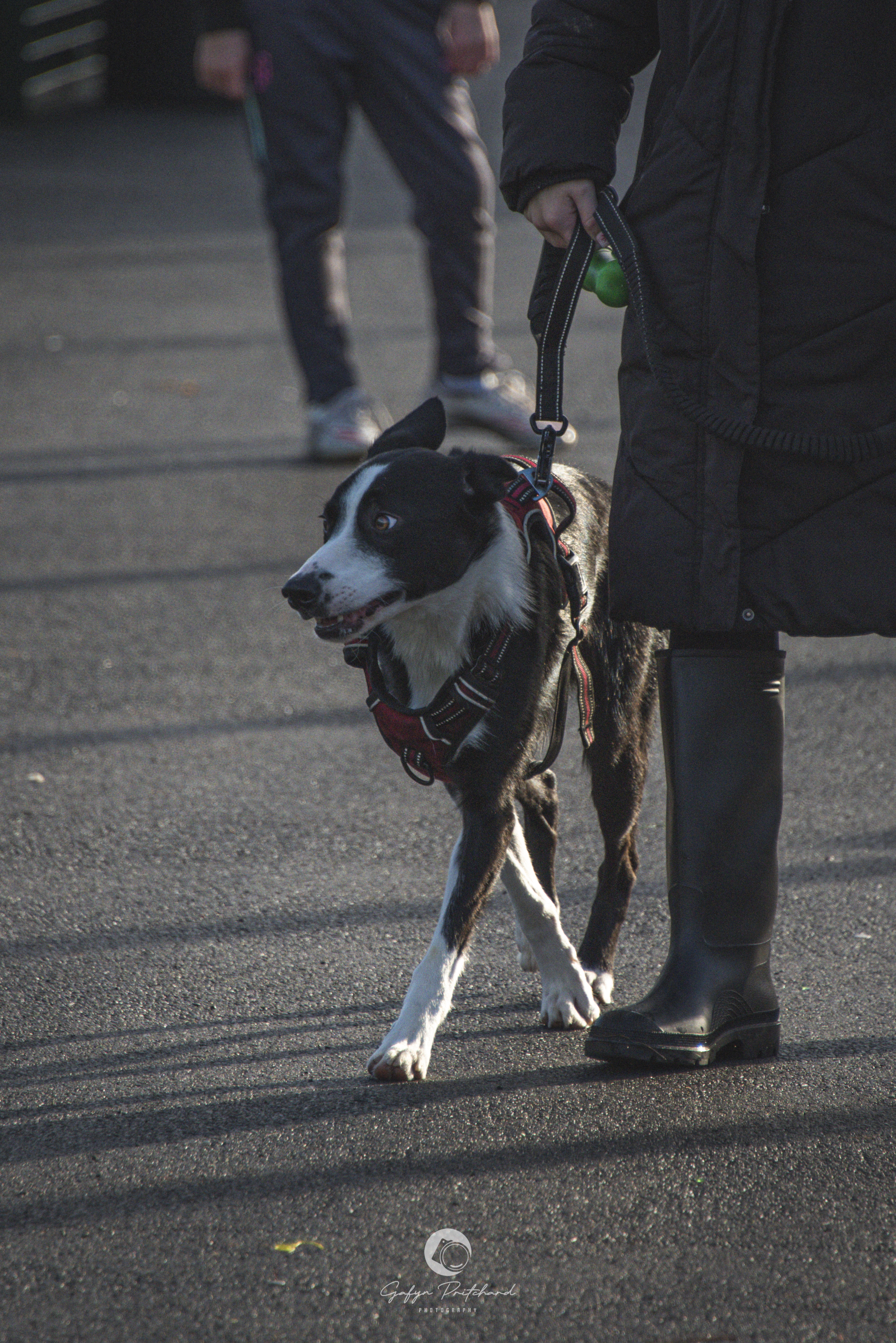 Baglan Seniors vs Baglan Youth